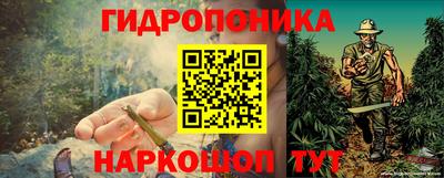 прущая мука Гай
