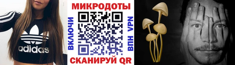 купить наркотики сайты  omg зеркало  Галлюциногенные грибы Psilocybine cubensis  Карталы 