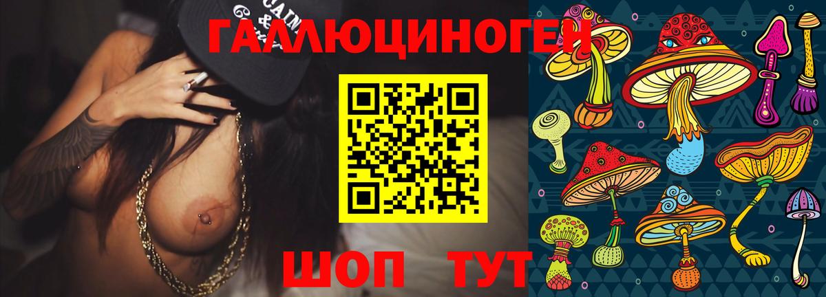 Карталы  Псилоцибиновые грибы Cubensis  Вход с VPN 